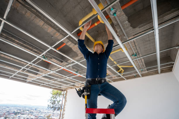 Best Best Plumbers Near Me  in Smithville Sanders, IN