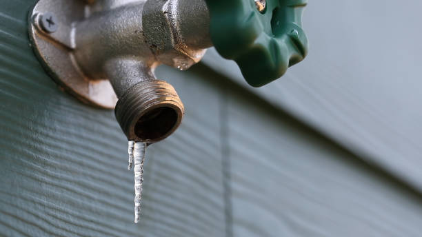 Best Clogged Drain Plumber  in Smithville Sanders, IN